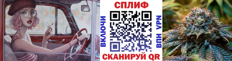 Канабис MAZAR  как найти закладки  Истра 
